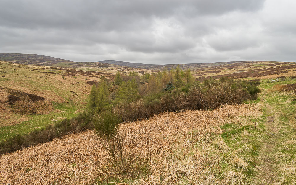 Broadhope Hill Broadhope Hill